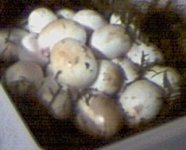 closeup of bad eggcrop.jpg
