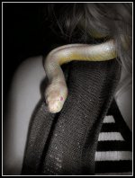 girlie snake.jpg