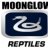 MoonGlow Reptiles