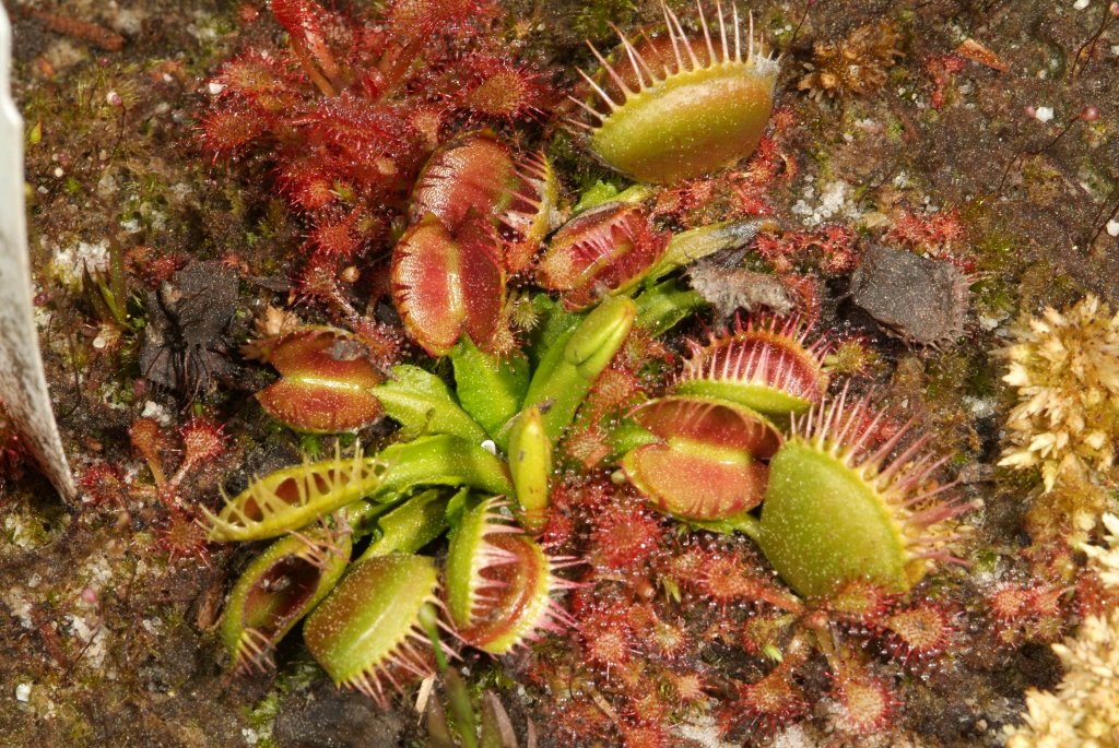 VFT_03_2015_01.jpg