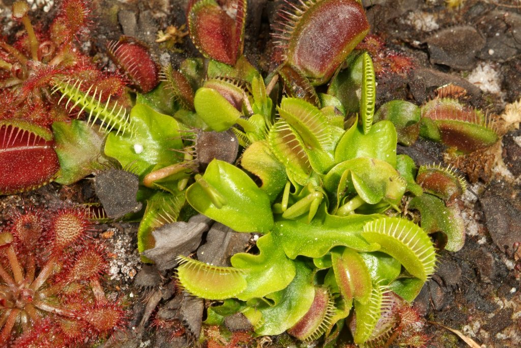 VFT_03_2015_02.jpg