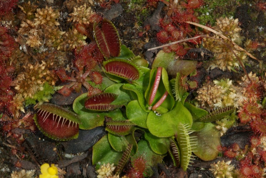 VFT_03_2015_03.jpg