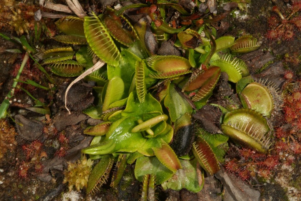VFT_03_2015_04.jpg