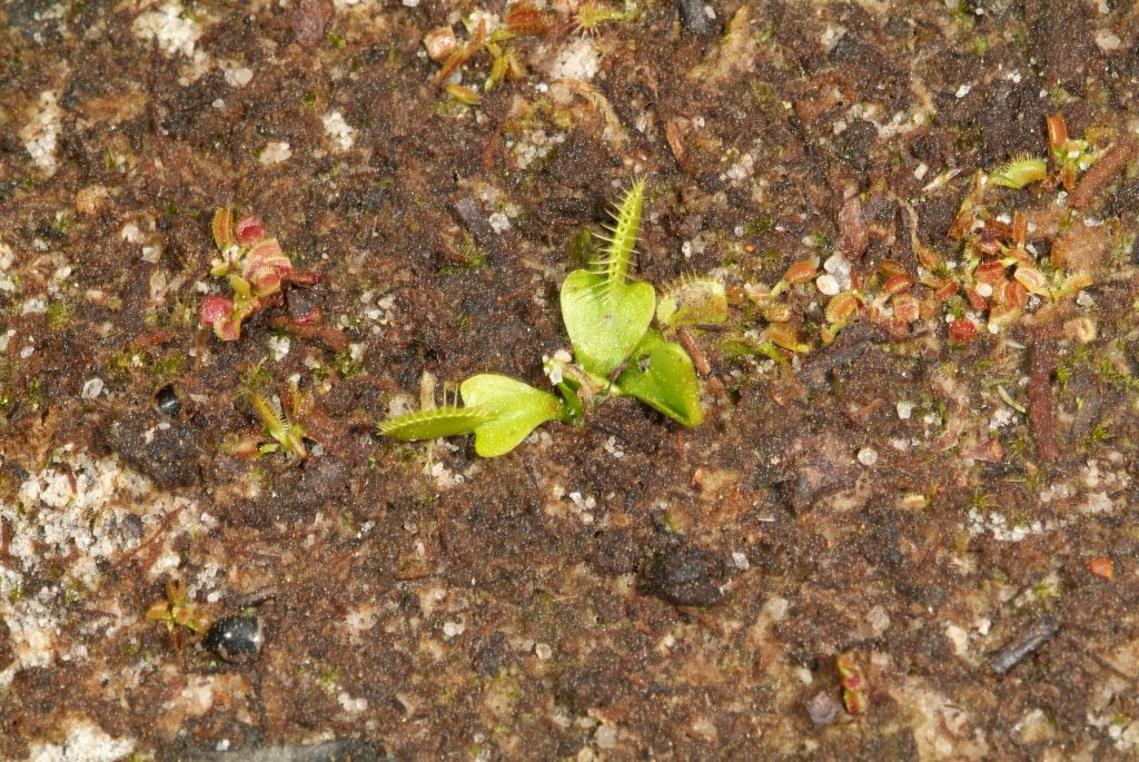 VFT_03_2015_06.jpg