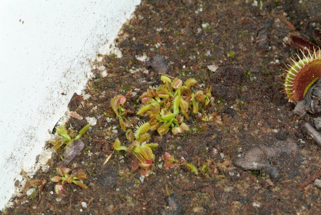 VFT_03_2015_08.jpg