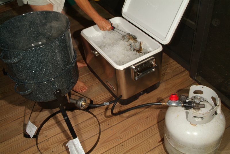 crabs_07_2014_02.jpg