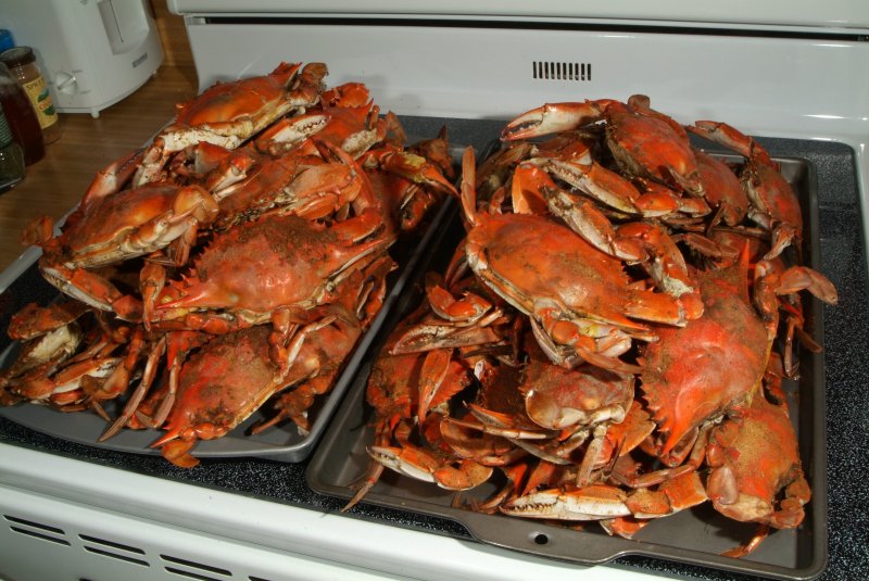 crabs_07_2014_08.jpg