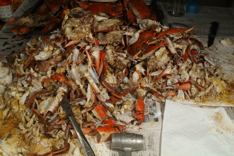 crabs_07_2014_10.jpg