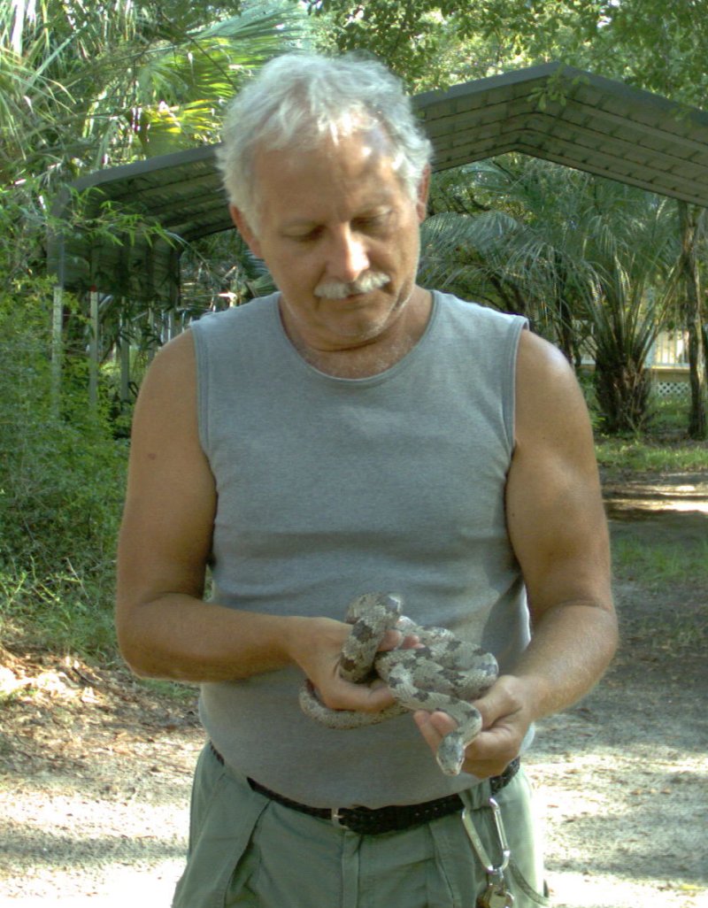 gray_rat_2011_001.jpg