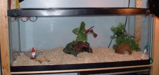 tank1.jpg