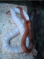 Glacier and Racie.jpg