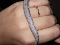 PICT1168.jpg