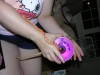 cd-woods2.jpg