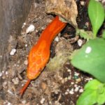 Img_0361.jpg