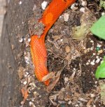 Img_0362.jpg