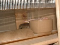 DSCF0181.JPG