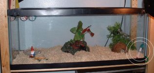 tank1.jpg