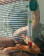 thermometer.jpg