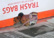 nikon3700.jpg