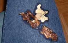 poop.JPG