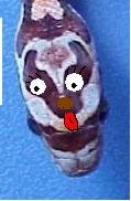 doggie snake.jpg