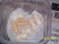 EGGS smallar.jpg