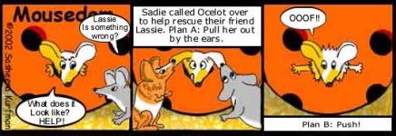 no3cartoon.jpg