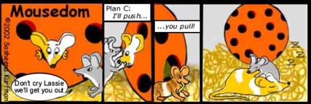 no4cartoon.jpg