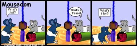 tassel1.jpg