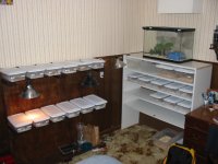 room1.jpg