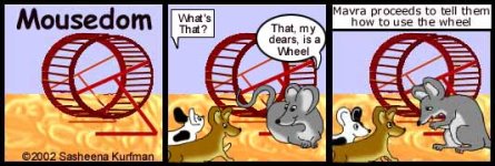 wheeltoy1.jpg