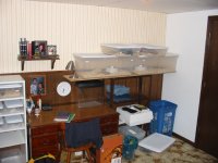 room3.jpg