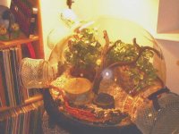 snake house 4.jpg