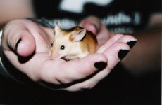 Kristi and Ginger.JPG