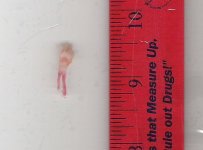 nails 016.jpg