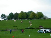 8a.JPG
