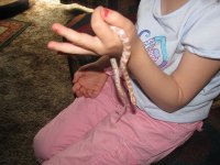 june 010.JPG