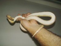 Picture 105.jpg