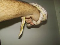 Picture 107.jpg