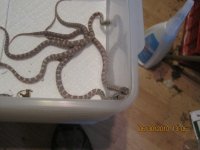 IMG_0391.jpg