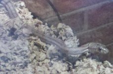 2012-01-28_14-54-26_966aa.jpg
