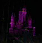 Cinderella Castle Night.JPG