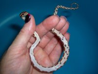 Milksnake Reg Pics 002cracr.jpg