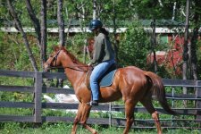canter.jpg
