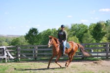canter2.jpg