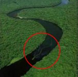 100ft-long-snake.jpg