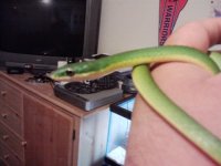 gumby1.jpg