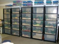 Racks 06_2010 002.jpg