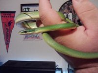 gumby2.jpg
