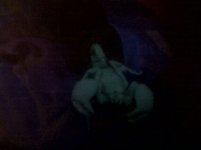 1289105690-picsay.jpg